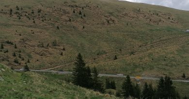 BUCEGI: S-a deschis oficial DJ 713 Transbucegi (Cota 1000-Dichiu-Piatra Arsă) ) BUCEGI: S-a deschis oficial DJ 713 Transbucegi (Cota 1000-Dichiu-Piatra Arsă) )