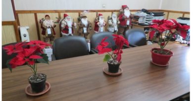 CĂLĂTOR ORĂ CU ORĂ – Santa Claus of ROMÂNIA CĂLĂTOR ORĂ CU ORĂ – Santa Claus of ROMÂNIA