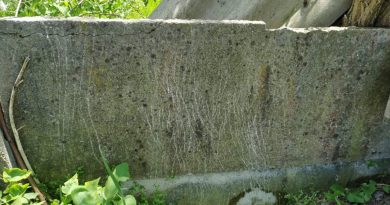 Dragomirești: Ursul a dat târcoale unui cimitir. Animalul nu se teme de zona locuită Dragomirești: Ursul a dat târcoale unui cimitir. Animalul nu se teme de zona locuită
