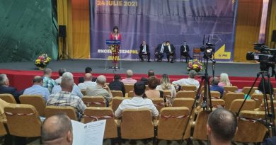 În Dâmbovița nici primarii PNL nu văd luminița guvernării. Discurs dur al Teodorei Anghelescu În Dâmbovița nici primarii PNL nu văd luminița guvernării. Discurs dur al Teodorei Anghelescu