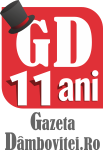 gazeta dambovitei 11 ani