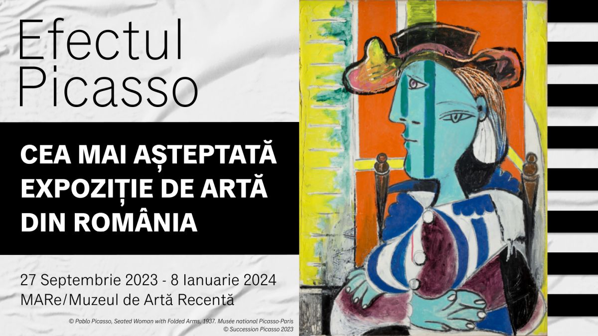 efectul picasso (3)