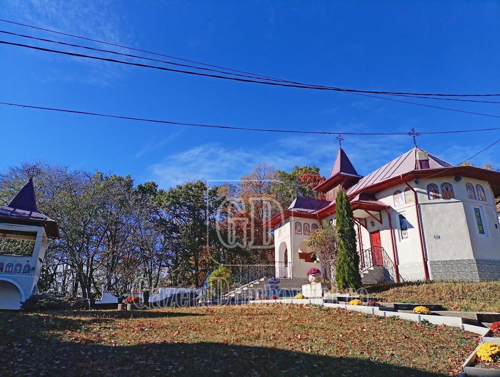 manastirea bunea (7)