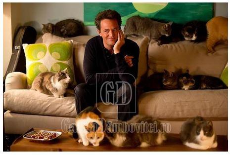 mathew perry