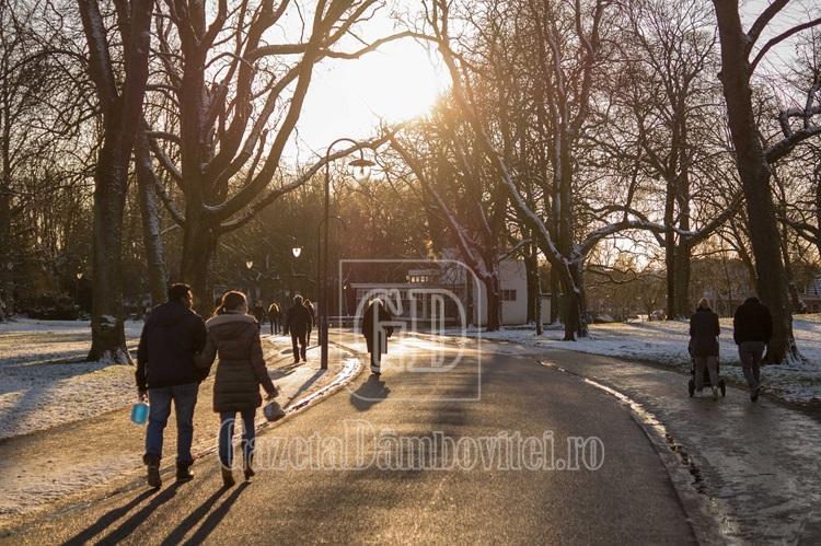 undetepotiplimbaiarnaindambovita 1