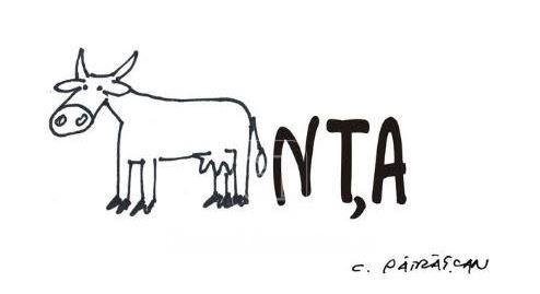 vacanta