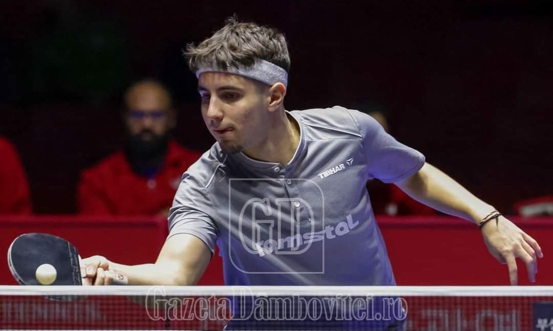 darius movileanu 9474