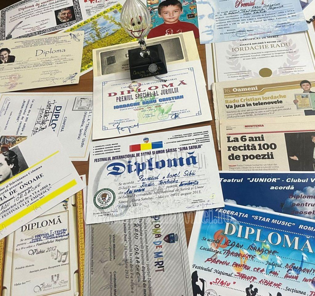 radu iordache diplome