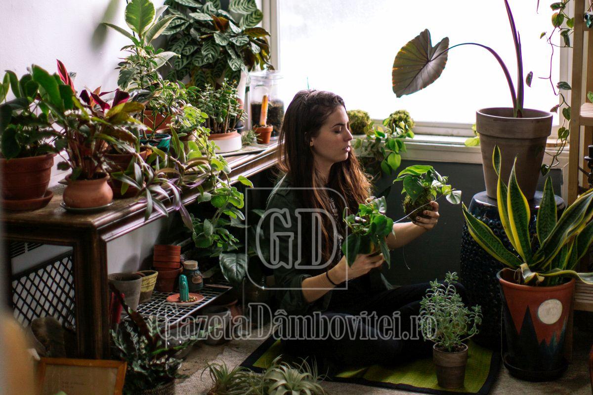 young adult woman at home watering indoor house plants