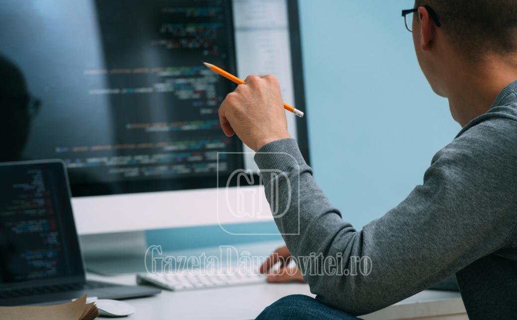 sondaj online