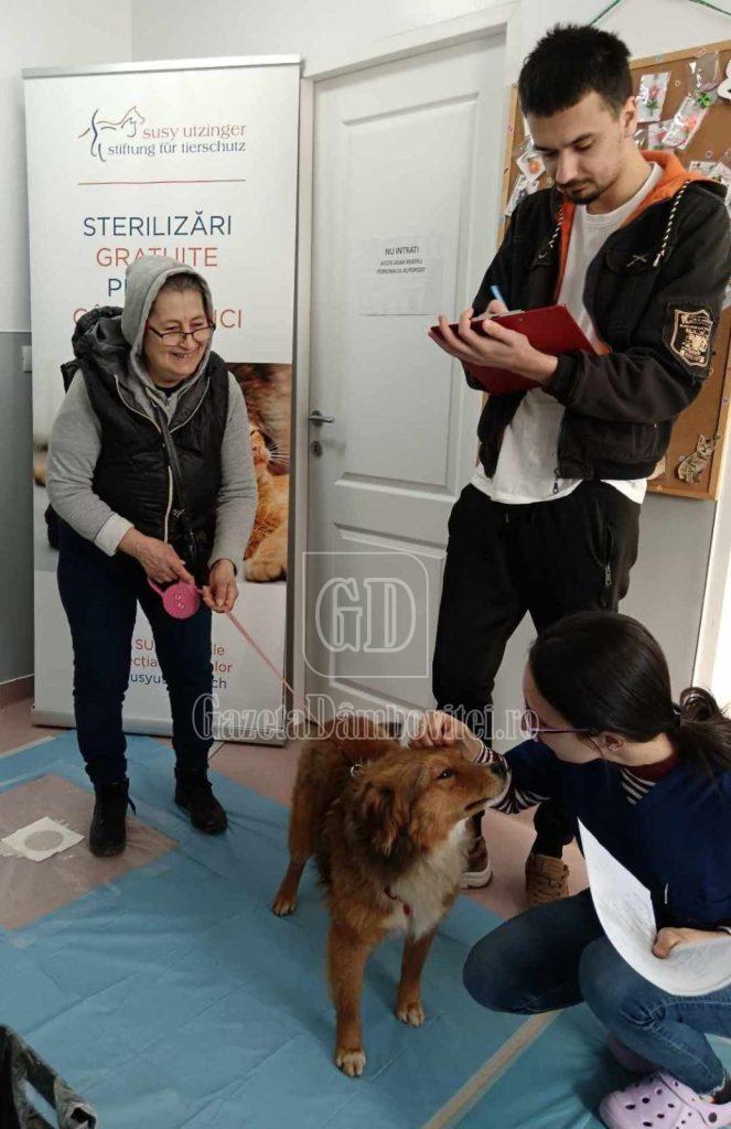 sterilizare moreni (2)