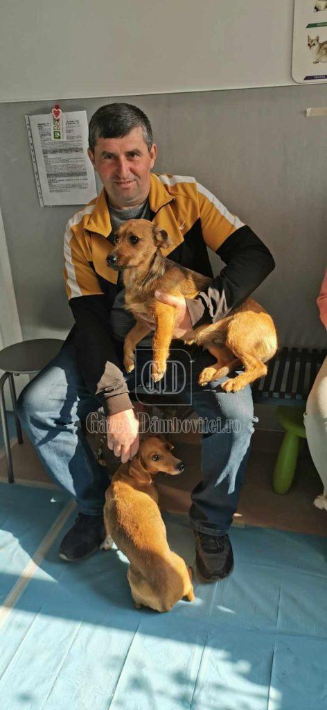 sterilizare moreni (4)