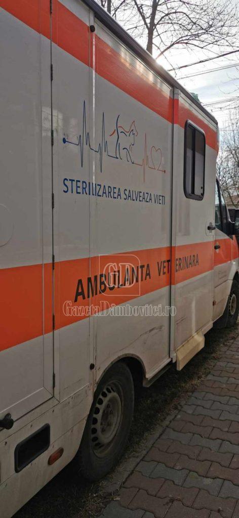 sterilizare moreni (5)