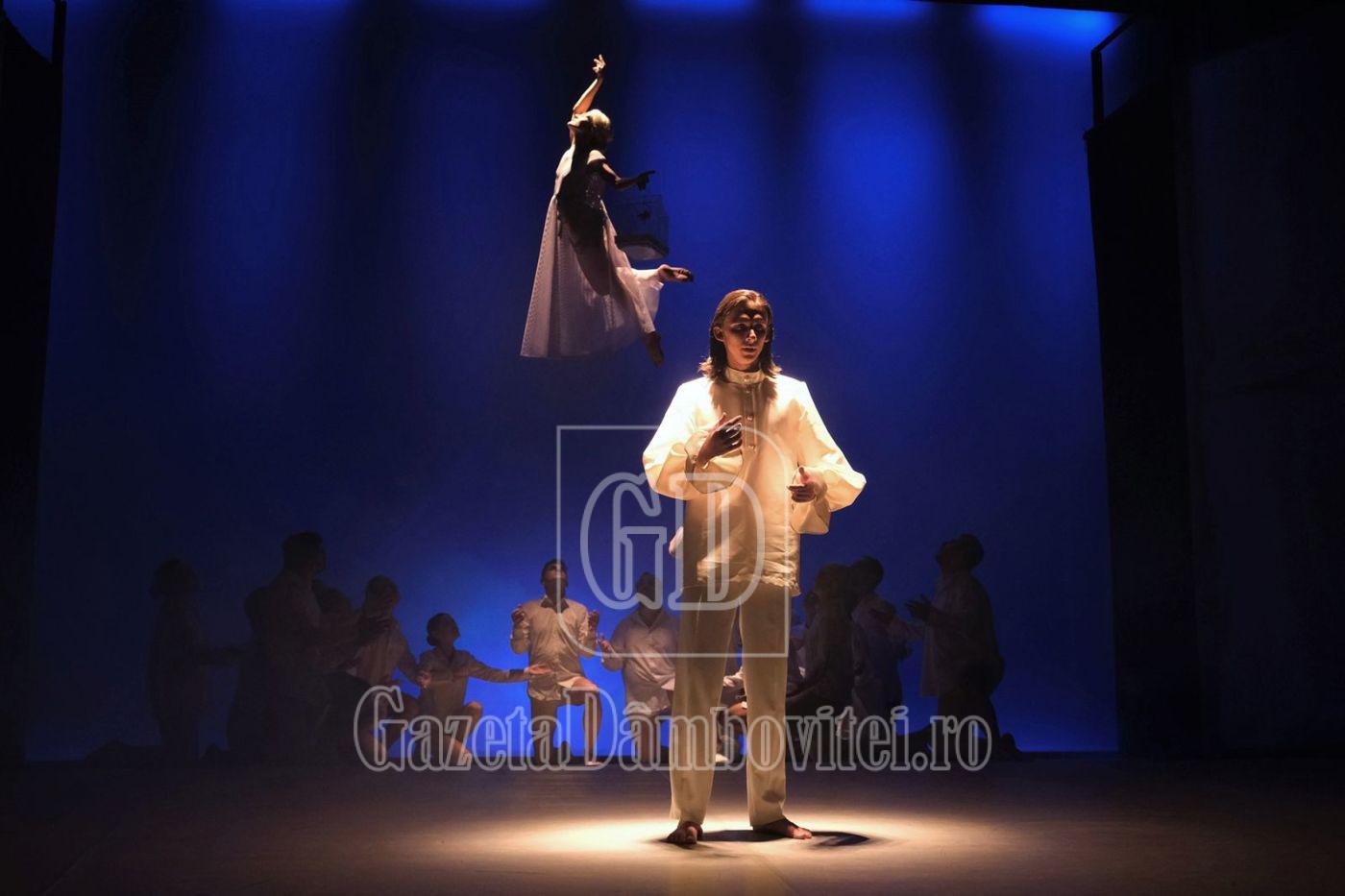 alexandru costea teatrul tony bulandra