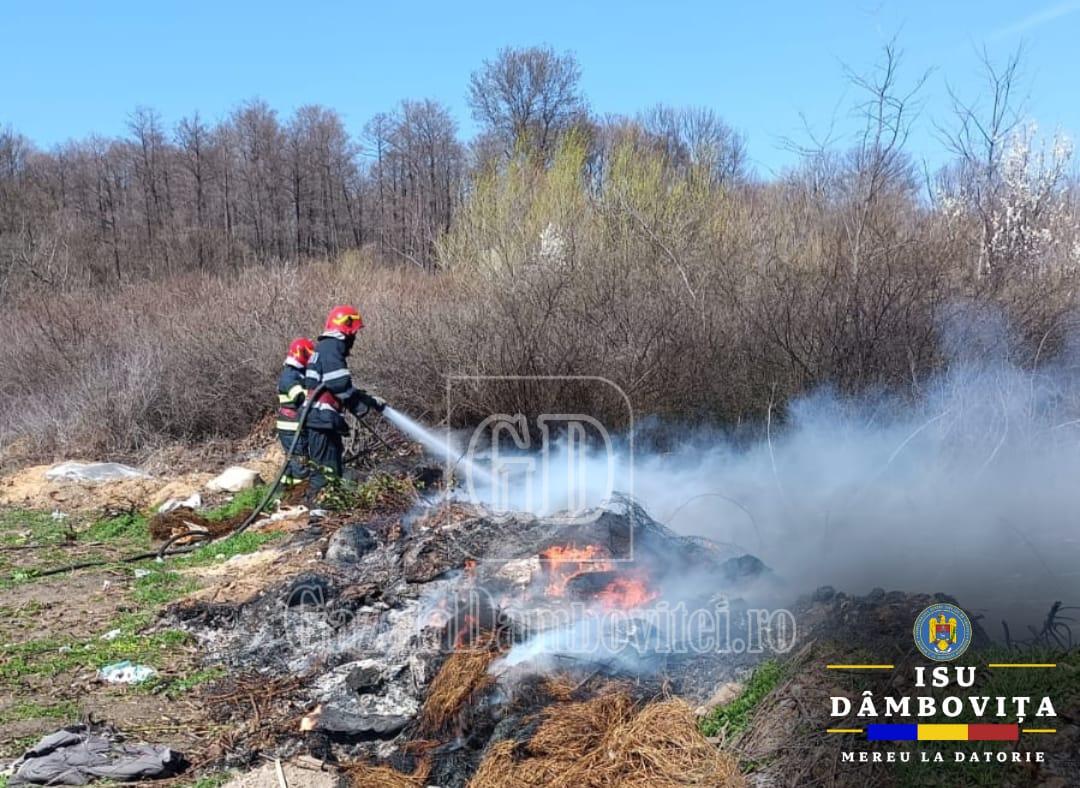 incendiu de vegetatie