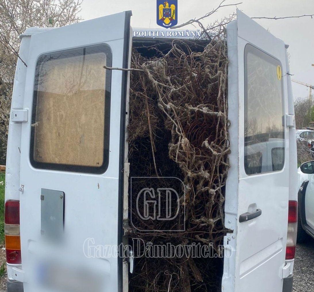 whatsapp image 2024 04 01 at 11.56.26 am