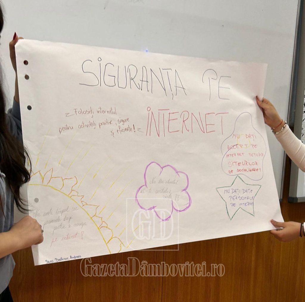 siguranta pe net proiect