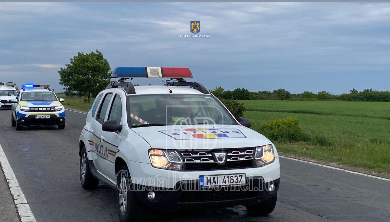 balteni