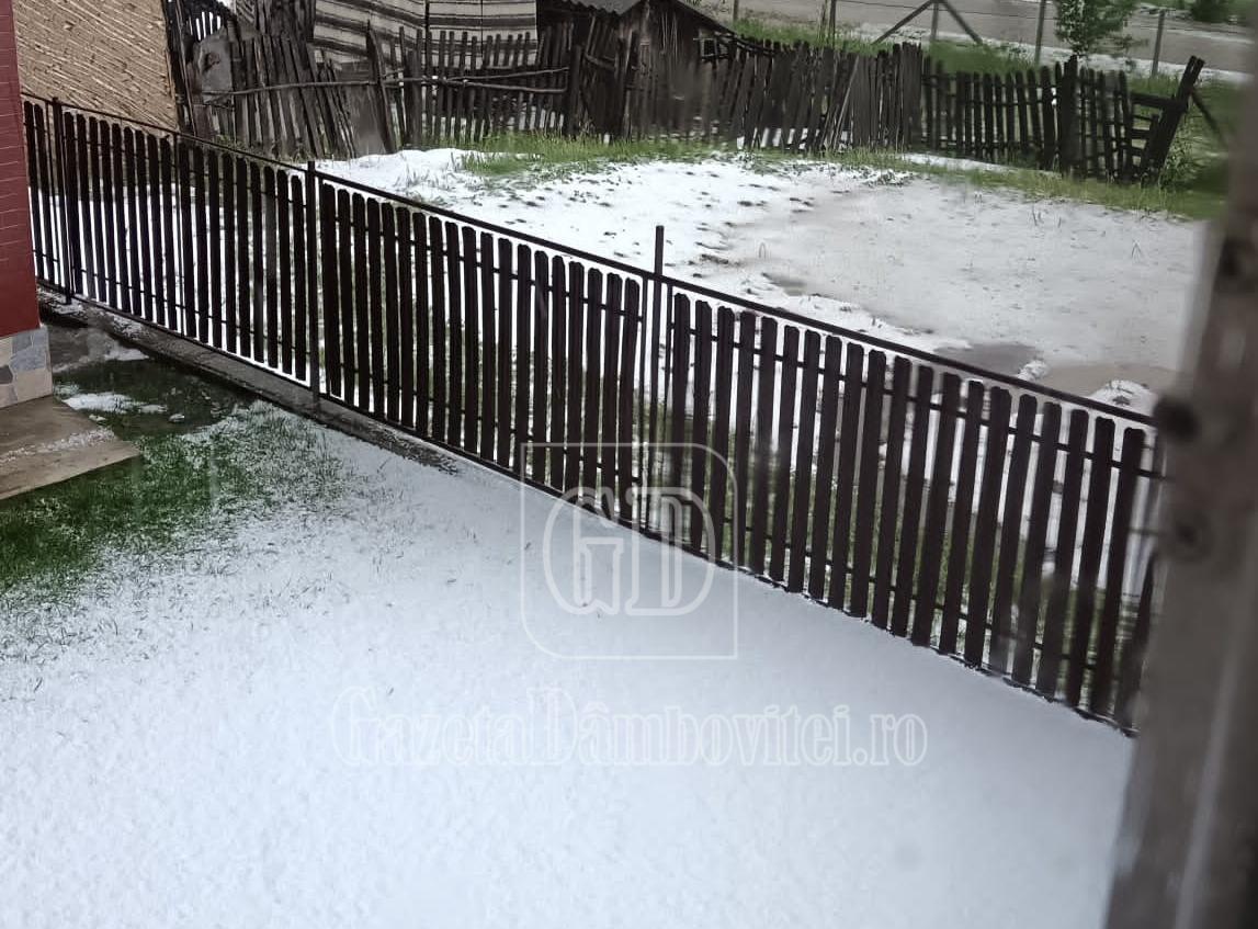 img 20240505 184903