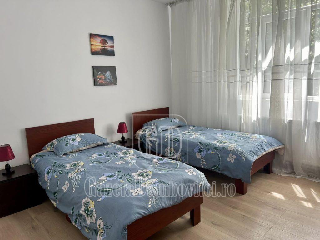camin premier (12)