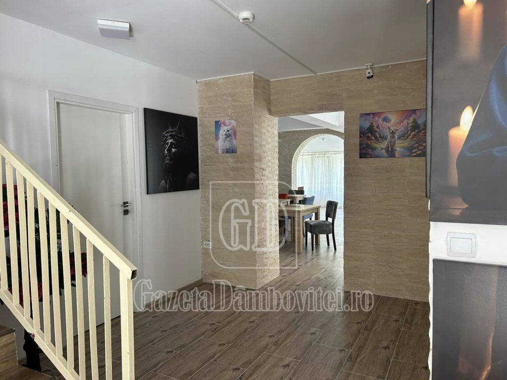 camin premier (15)