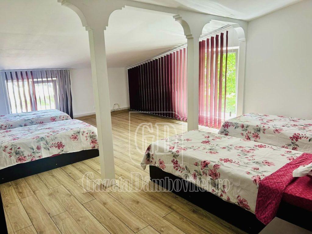 camin premier (18)