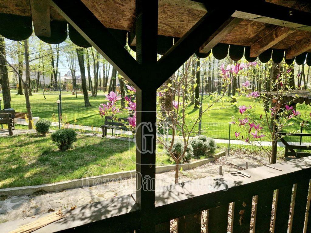 camin premier (2)