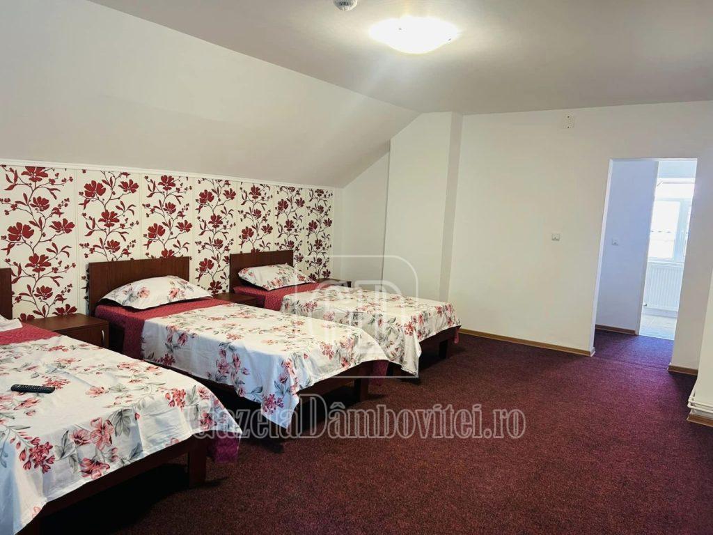 camin premier (22)