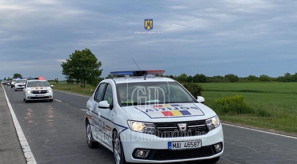 politia politisti masini politie ipjdambovita