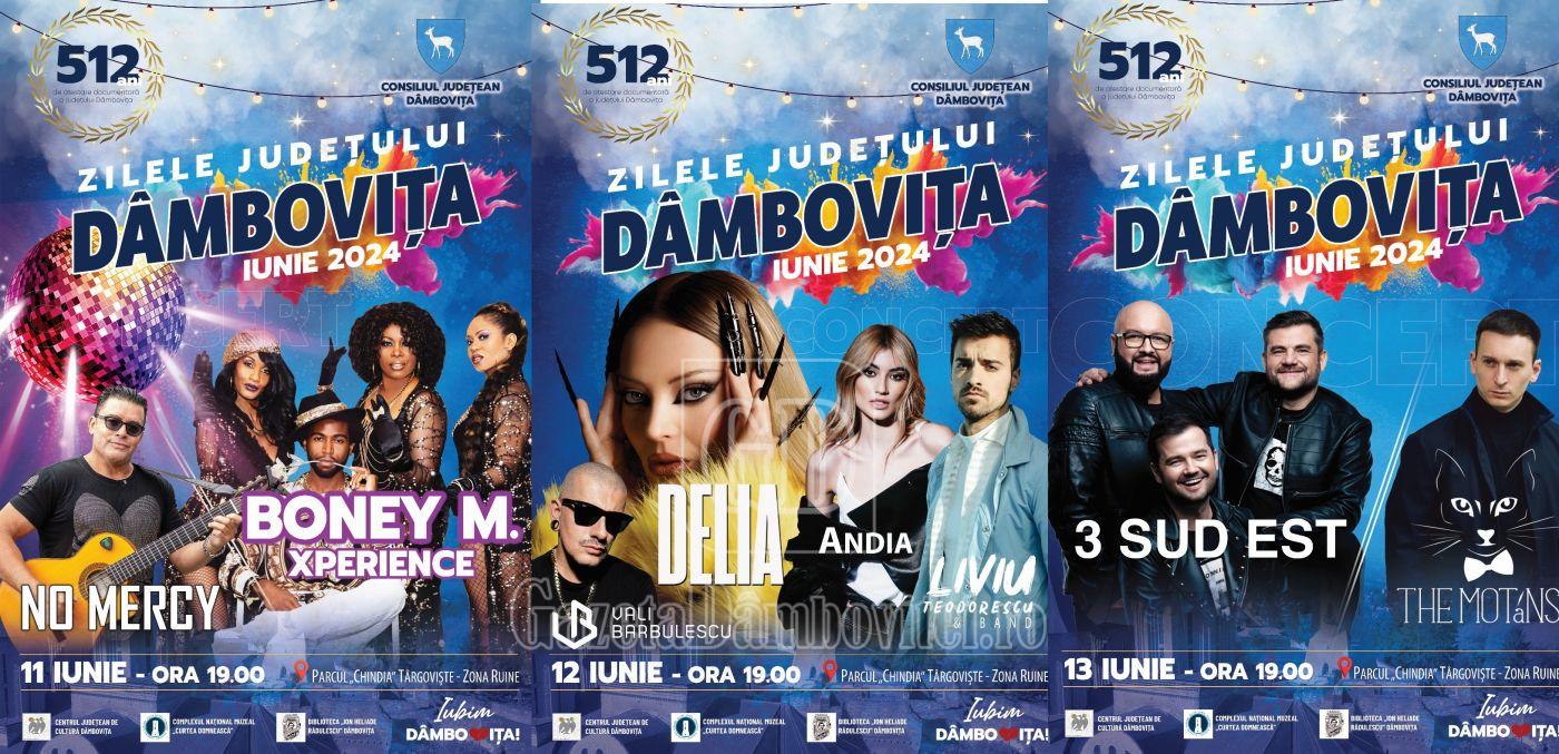 11 iunie afiș bun