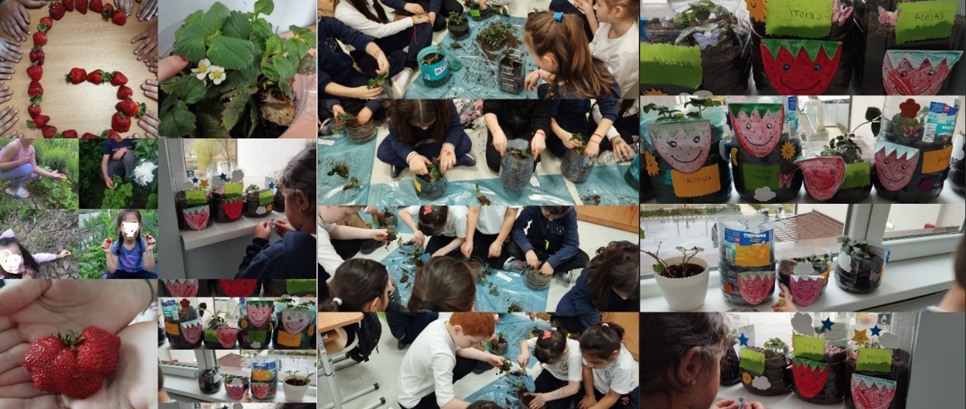 screenshot 2024 06 18 140650