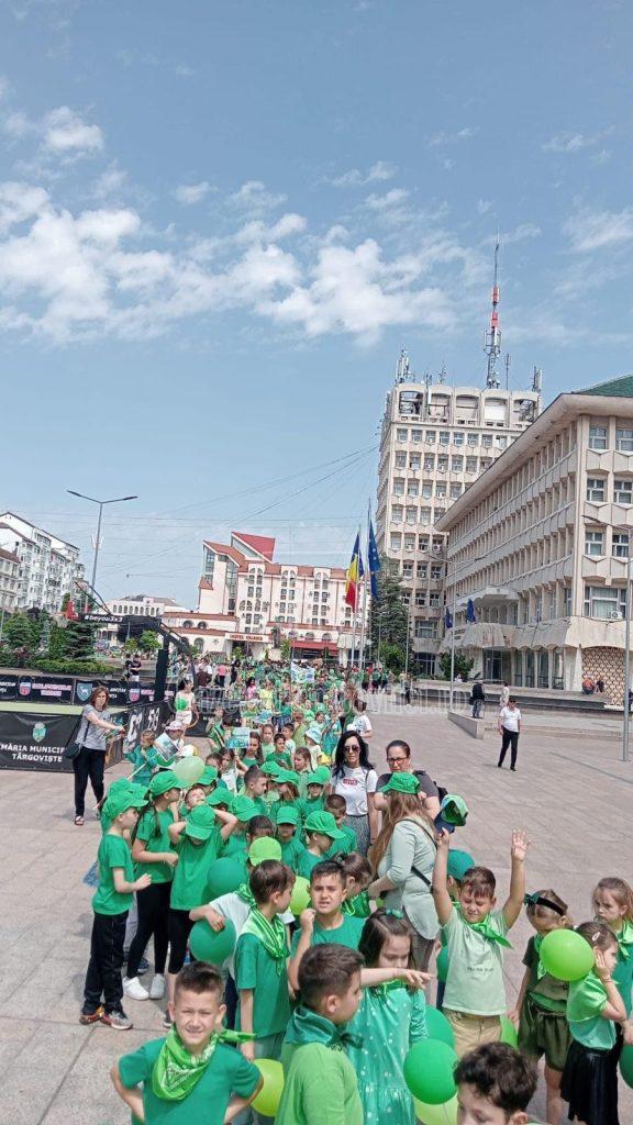 coresi verde 4