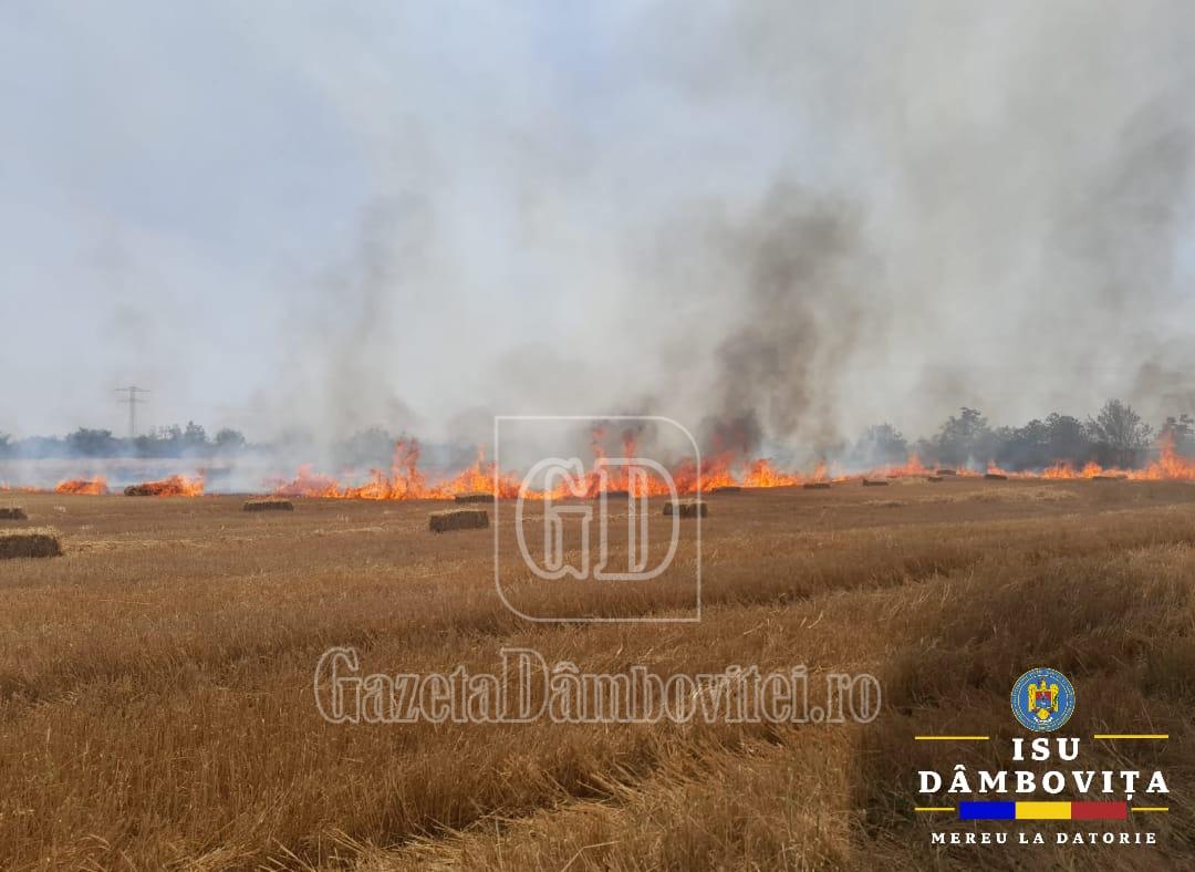 incendiu baloti 2