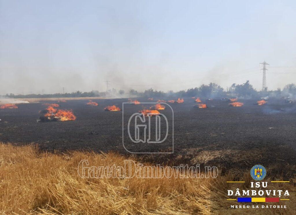 incendiu baloti 3