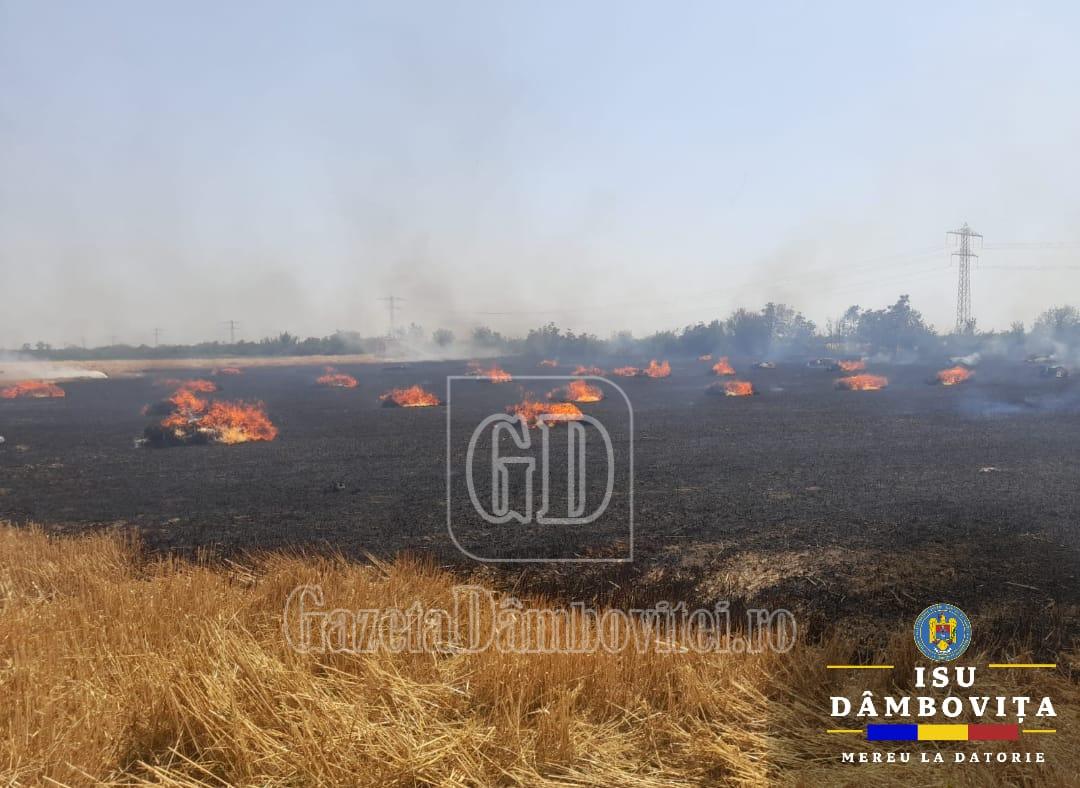 incendiu baloti 3