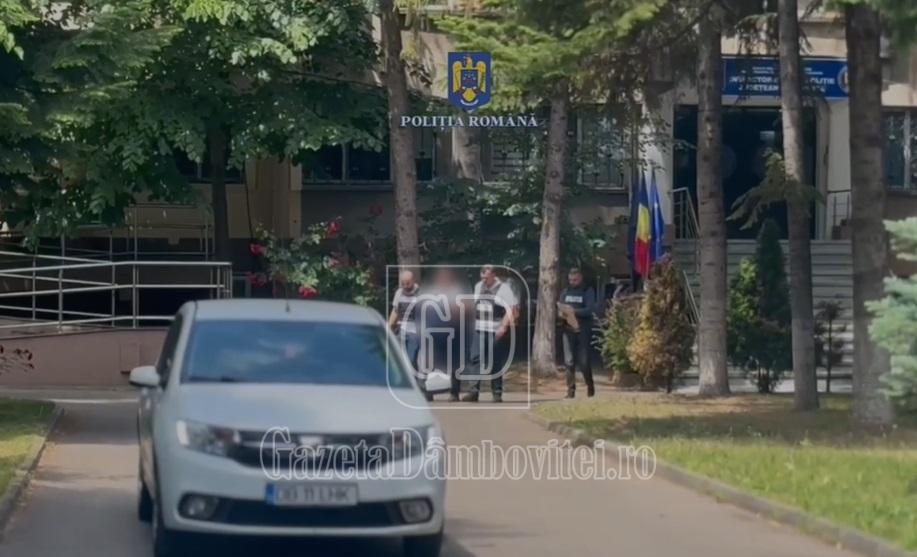 politie dambovita