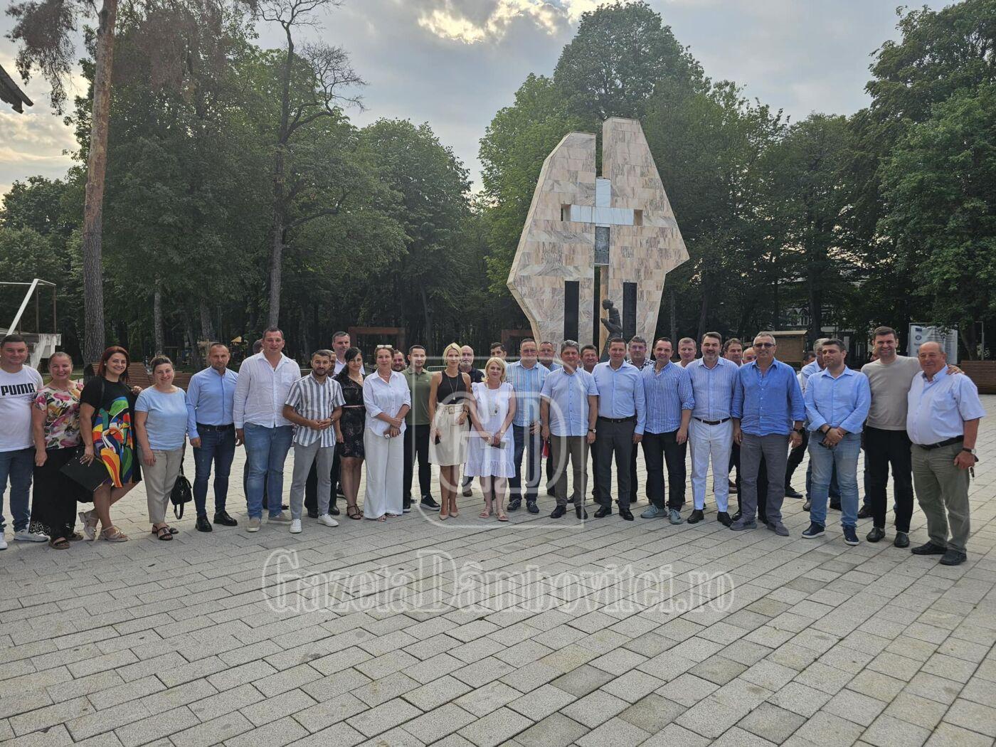 psd dambovita