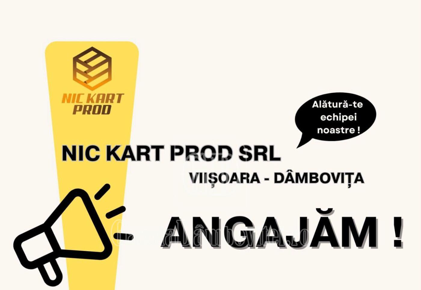 nic kart prod srl