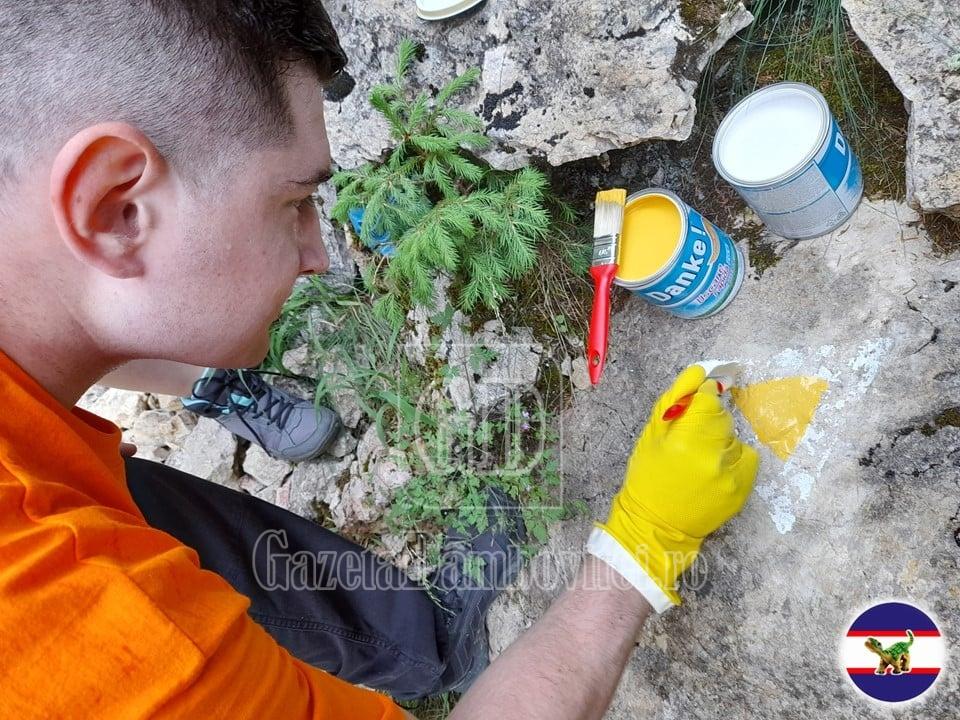 eco voluntari