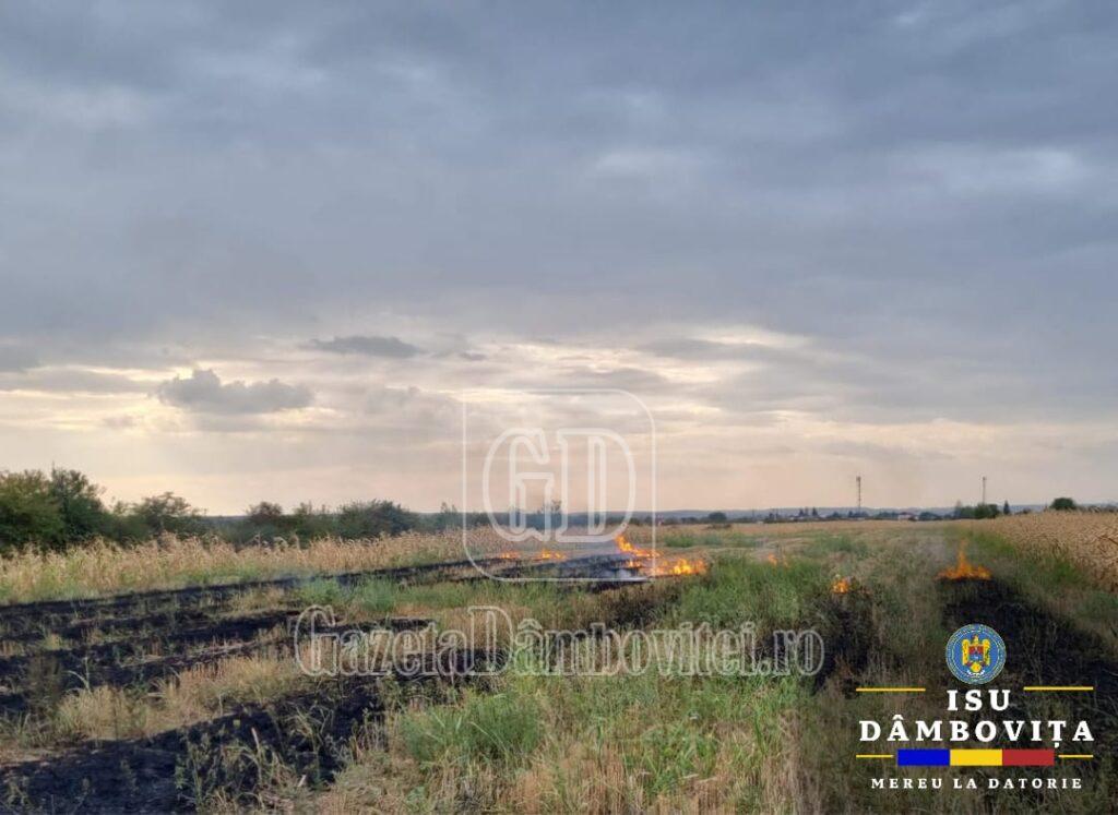 img 20240831 wa0014