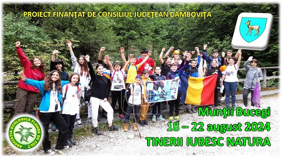 tinerii iubesc natura