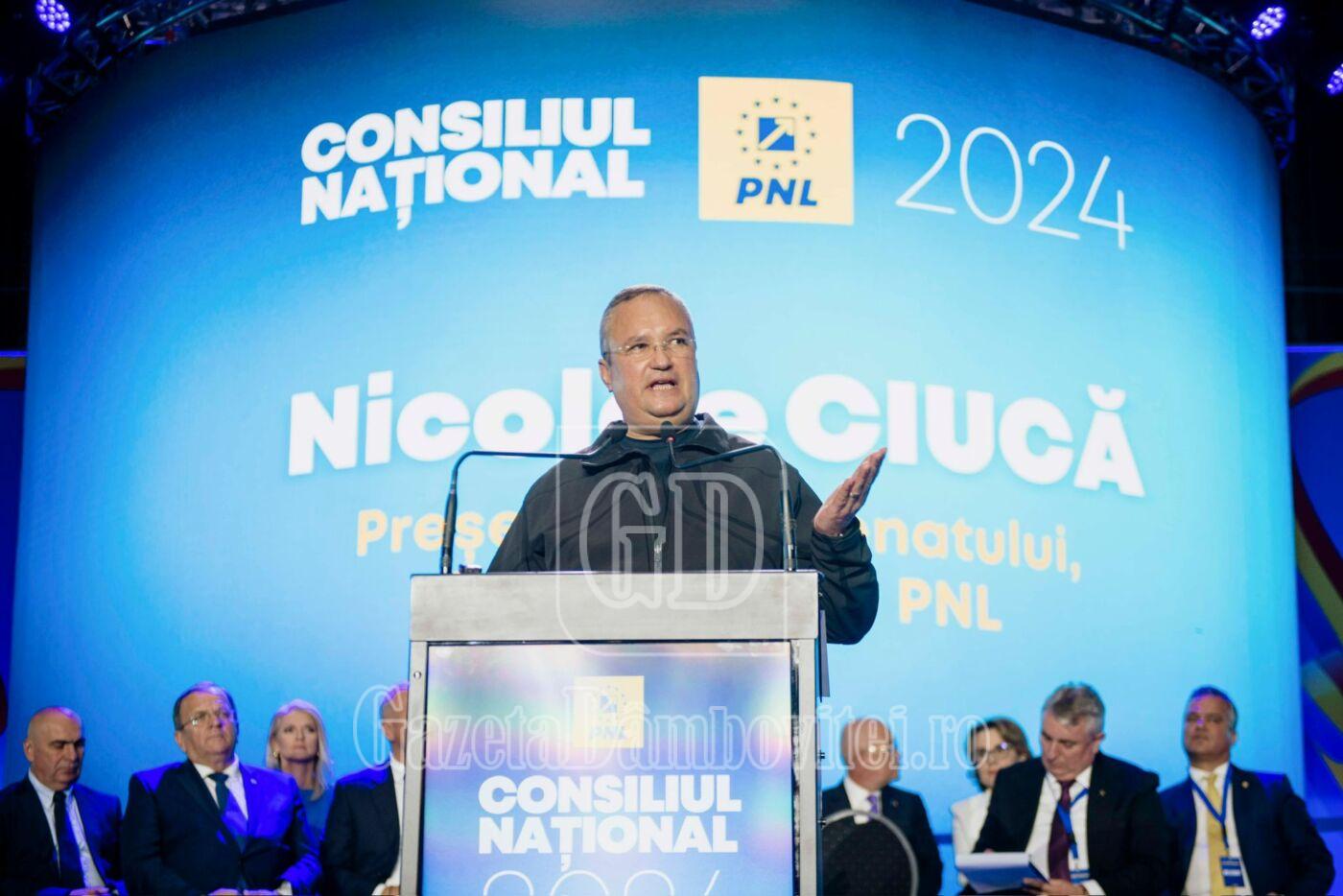 pnl candidatura ciuca (4)