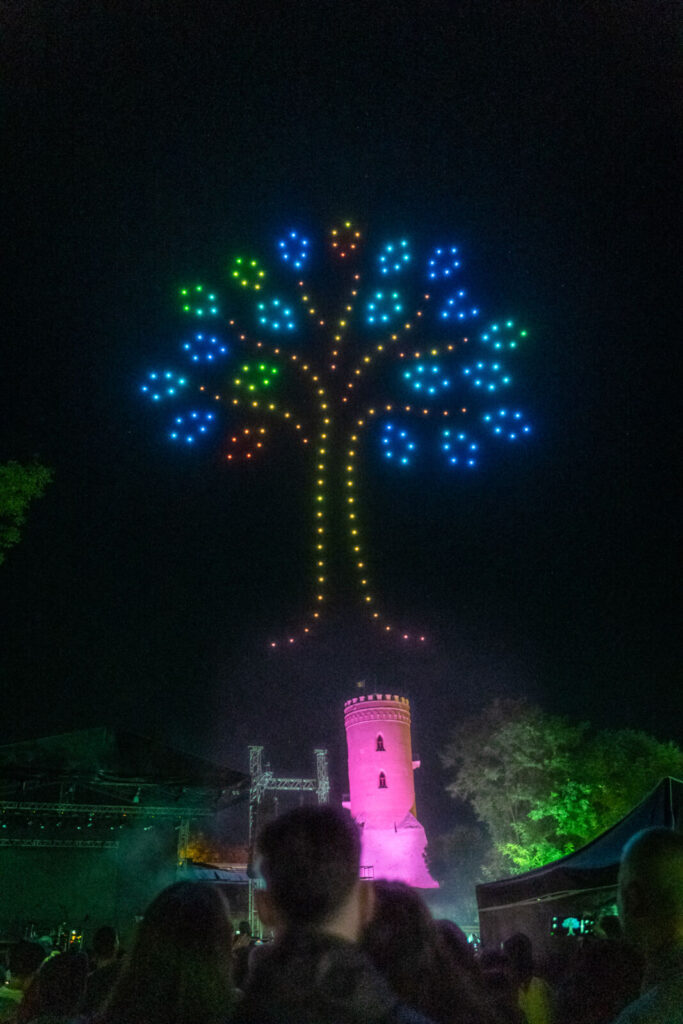 zilele cetatii 2024 targoviste spectacol drone si artificii (2)