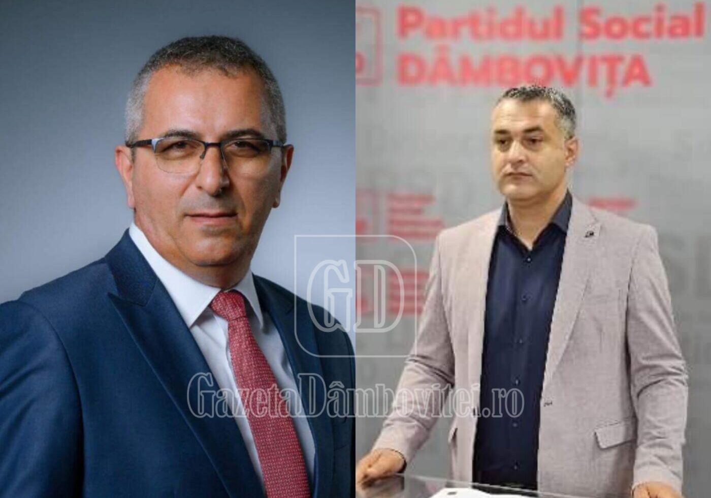 catalin radulescu si constantin cozma