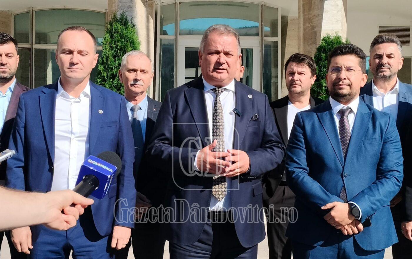 pnl dambovita