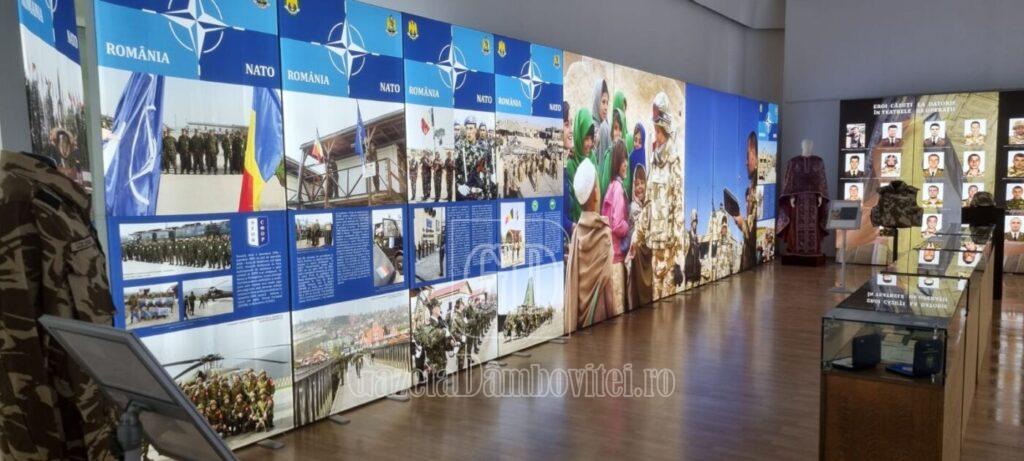 expozitie nato 1