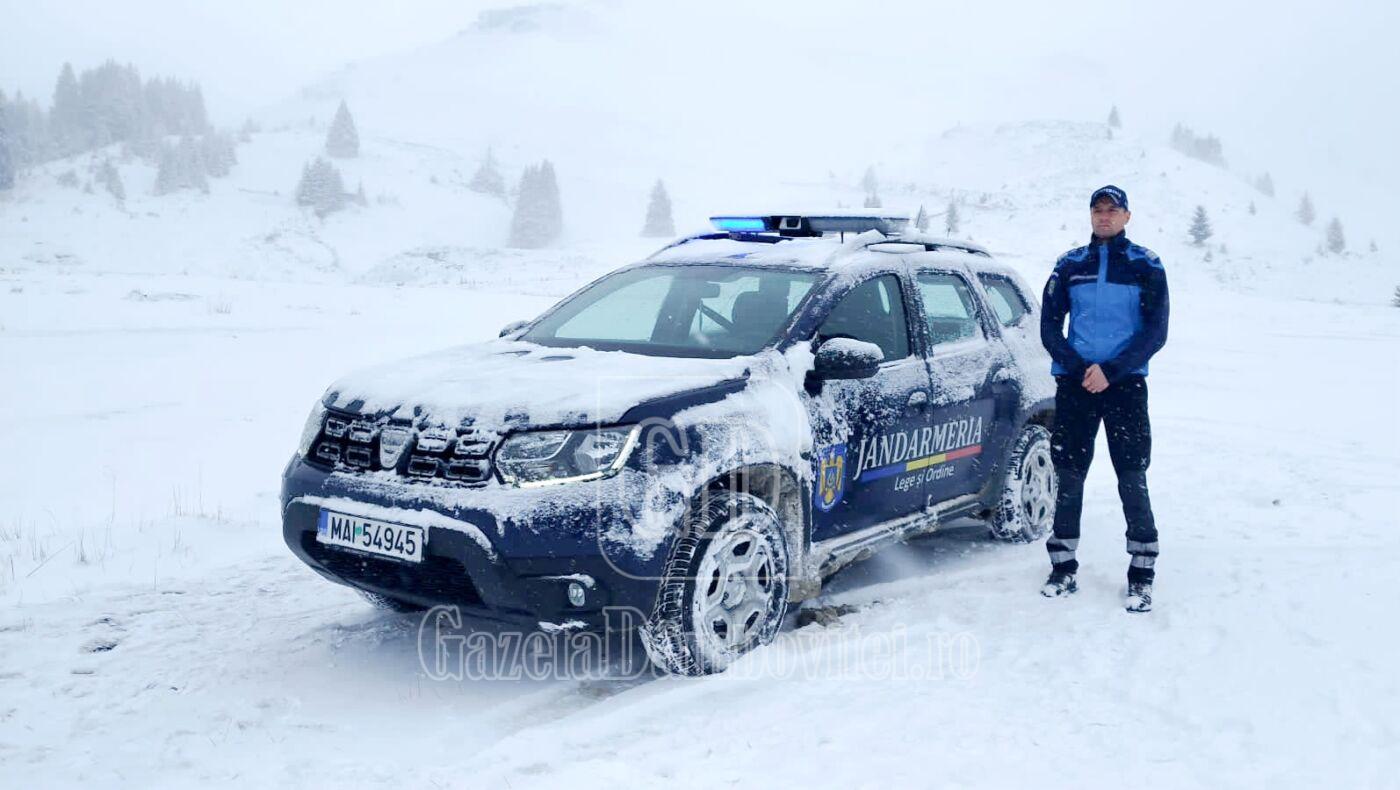 foto platoul montan bucegi