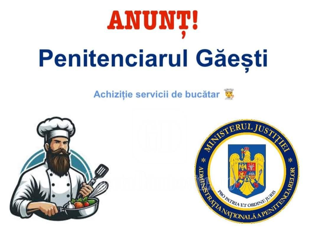 img 20241119 125138