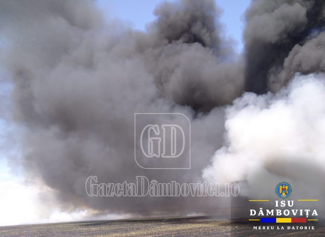 whatsapp image 2024 11 09 at 14.35.57