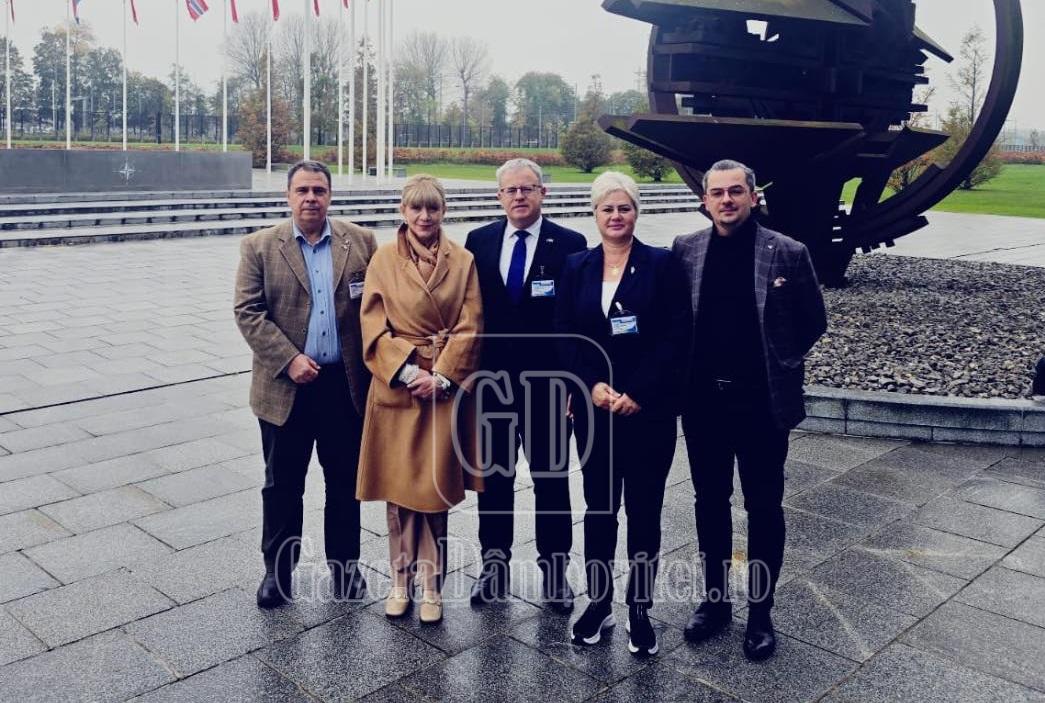 savoiu delegatie